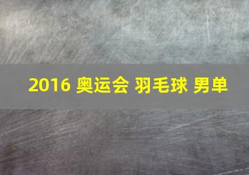 2016 奥运会 羽毛球 男单